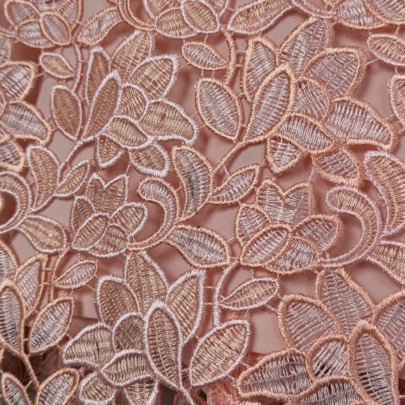 Lauren Ralph Lauren Sleeveless Lace Sheath Dress Peachy Pink Fully Lined - sz 8 - Picture 4 of 11